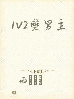 1V2双男主