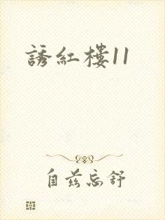 诱红楼11