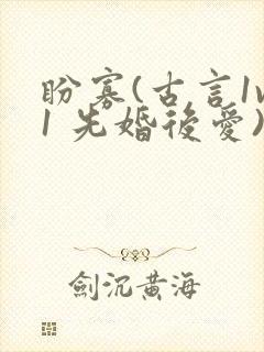 盼寡(古言1v1 先婚后爱)