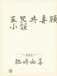 五兄共妻顾心儿小说封面