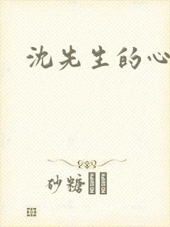 沈先生的心头宝