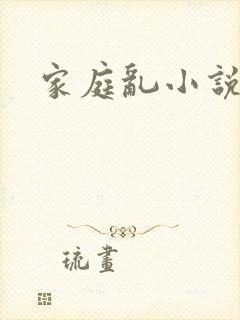 家庭乱小说封面