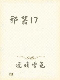 邪器17