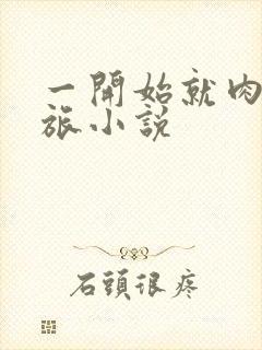 一开始就肉的军旅小说封面