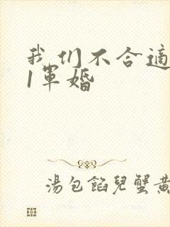 我们不合适1v1军婚
