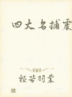 四大名捕震关东封面