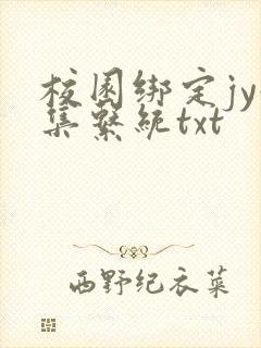 校园绑定jy收集系统txt封面