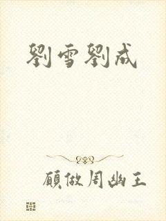 刘雪刘成封面