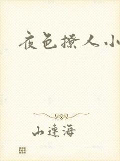 夜色撩人小说