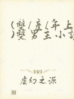 (双/产/年上)双男主小说