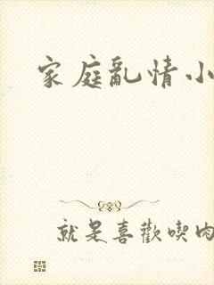 家庭乱情小说封面