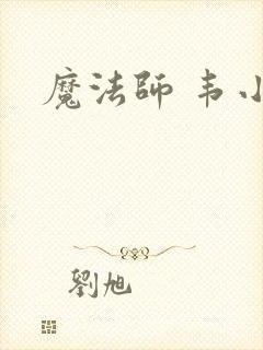 魔法师 韦小宝封面