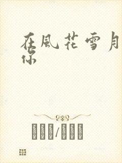 在风花雪月里等你封面