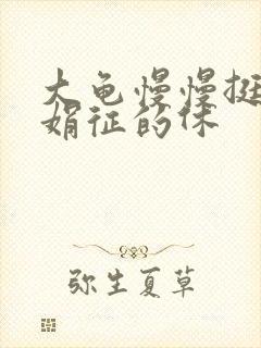 大龟慢慢挺进张娟征的休