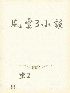 风云3小说
