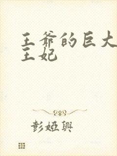 王爷的巨大进入王妃封面