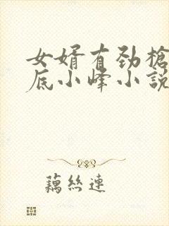 女婿有劲枪枪到底小峰小说