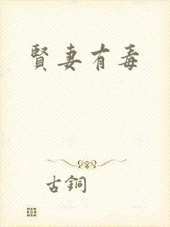 贤妻有毒