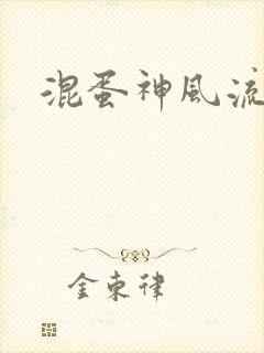 混蛋神风流史补封面