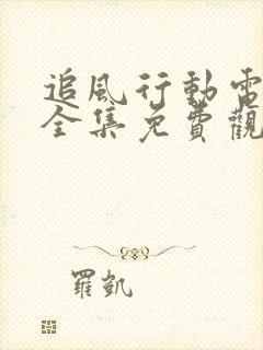 追风行动电视剧全集免费观看