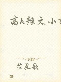 高h辣文小说封面