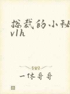 总裁的小秘书1v1h