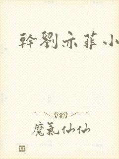 干刘亦菲小说封面