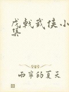 戊戟武侠小说全集