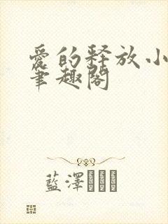 爱的释放小说 笔趣阁