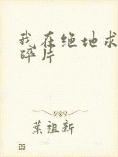 我在绝地求生捡碎片