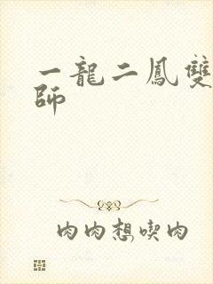 一龙二凤双飞老师