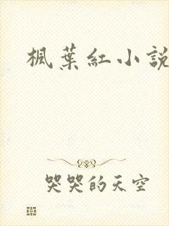 枫叶红小说封面