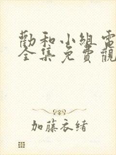 劝和小组电视剧全集免费观看