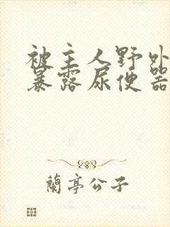 被主人野外调教暴露尿便器封面