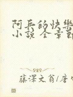 阿兵的快乐生活小说 全章节阅读免费