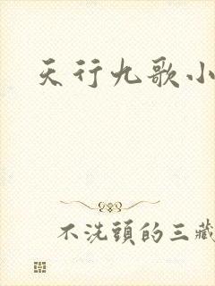 天行九歌小说封面