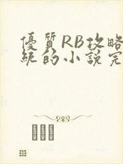 优质RB攻略系统的小说完整版封面