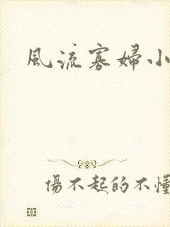 风流寡妇小说封面