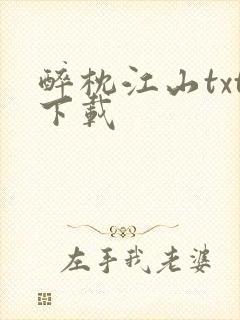 醉枕江山txt下载