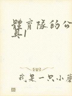 体育队的公用玩具1