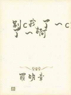 别c我了～c烂了～啊封面