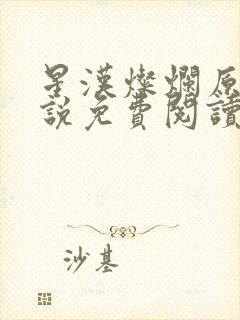 星汉灿烂原著小说免费阅读封面