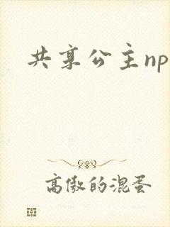 共享公主npc