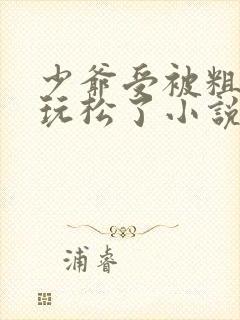 少爷受被粗汉H玩松了小说