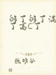 够了够了满到C了高C了