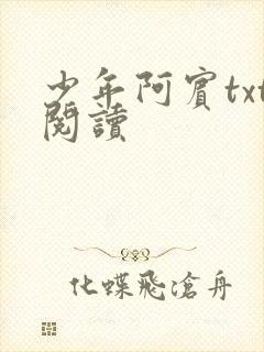 少年阿宾txt阅读