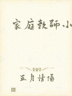 家庭教师小说封面