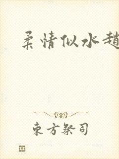 柔情似水赵雅儿