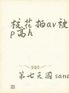 校花拍av被np高h