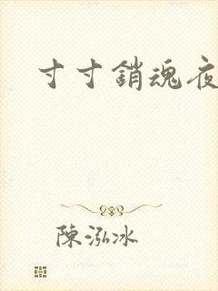 寸寸销魂夜春光